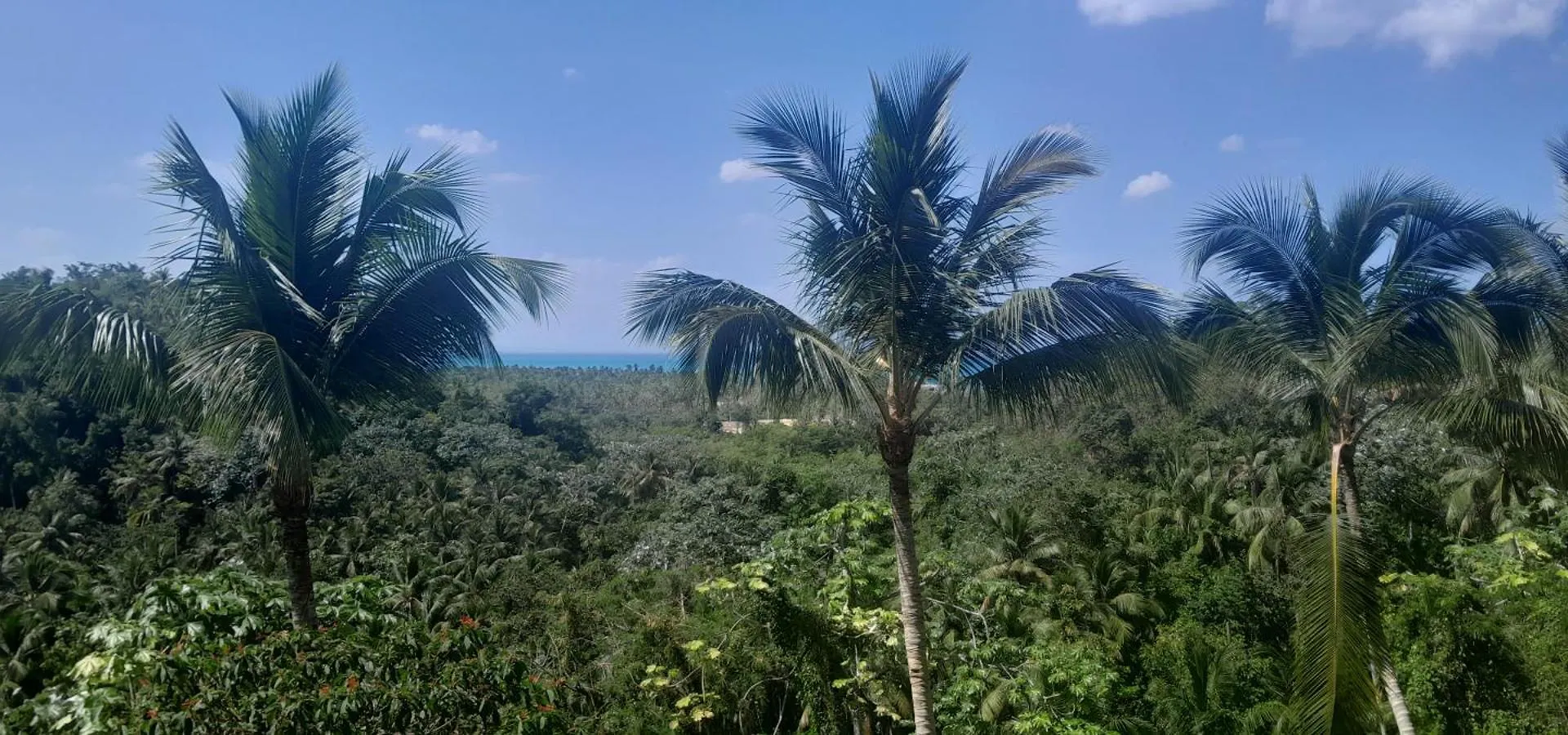 Appartement Mariquita Las Terrenas